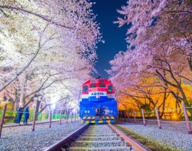 Nhà ga Gyeonghwa, Jinhae: Điểm đến lãng mạn tại Hàn Quốc