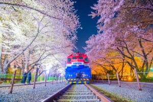 Nhà ga Gyeonghwa, Jinhae: Điểm đến lãng mạn tại Hàn Quốc