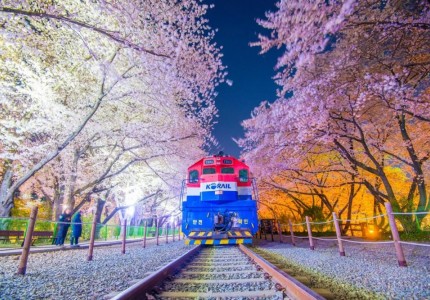 Nhà ga Gyeonghwa, Jinhae: Điểm đến lãng mạn tại Hàn Quốc