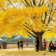 Du lịch Hàn Quốc mùa thu nên mặc gì