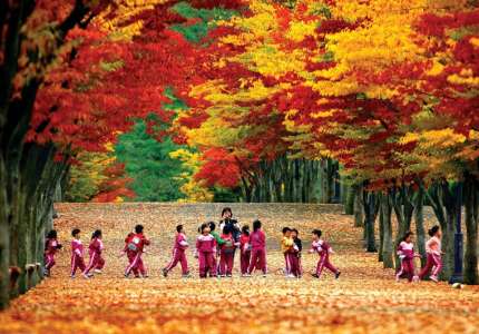 Kinh nghiệm du lịch Hàn Quốc mùa lá đỏ