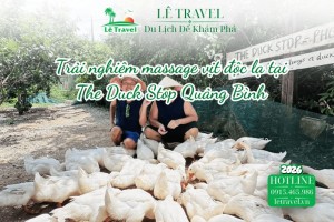 Trải nghiệm massage vịt độc lạ tại The Duck Stop Quảng Bình
