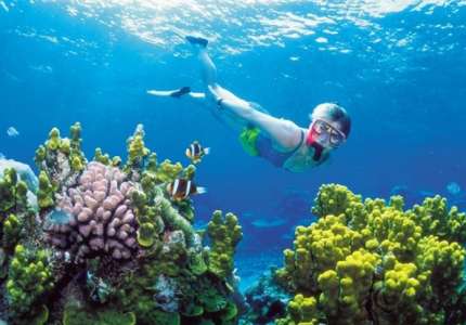 5 Điểm ngắm san hô đẹp nhất bạn nên biết