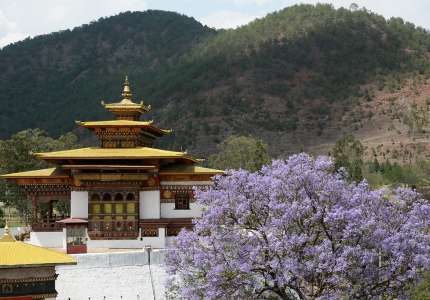 Du xuân Bhutan có gì đẹp