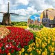 Những mùa hoa đẹp nhất Châu Âu