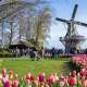 Top 5 điểm du lịch Hà Lan đẹp nhất