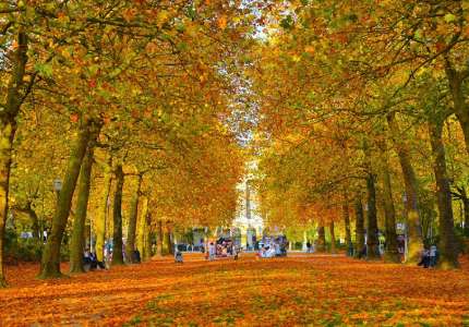 Vẻ đẹp mùa thu nước Bỉ