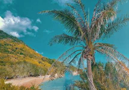 Thiên đường du lịch Côn Đảo ngày hè