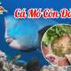 Thưởng thức hương vị thơm ngon của cá Mó biển Côn Đảo