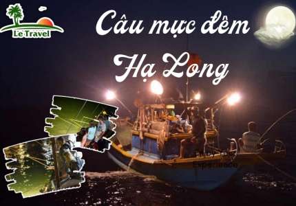 Khám phá cuộc sống của ngư dân Hạ Long qua tour câu mực đêm