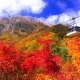 Đi du lịch Nhật Bản mùa lá đỏ vào tháng mấy 