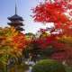 Đi du lịch Nhật Bản tháng 10 có gì đẹp