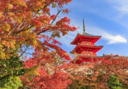 Vẻ đẹp của mùa thu tại Nhật Bản