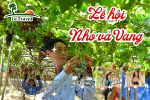 Vũ điệu Nho và Vang - Khúc ca vang vọng của Ninh Thuận