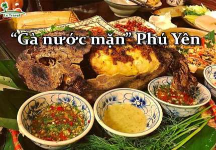Trải nghiệm món “gà nước mặn” của Phú Yên