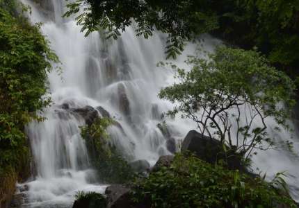 Khu du lịch sinh thái vườn Phong Nha Kẻ Bàng