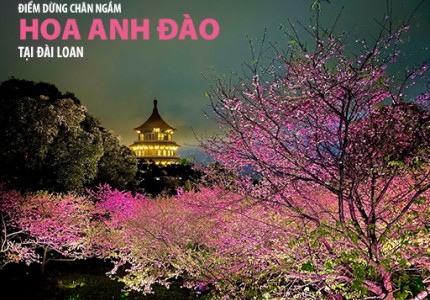 NHỮNG ĐIỂM DỪNG CHÂN LÝ TƯỞNG NGẮM HOA ANH ĐÀO TẠI ĐÀI LOAN