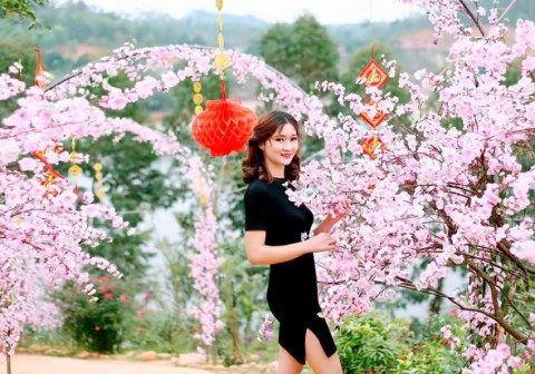 Trải nghiệm Du Lịch Tam Đảo 1 Ngày