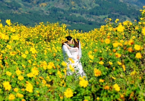 Du Lịch Trăng Mật Đà Lạt 3 Ngày 2 Đêm