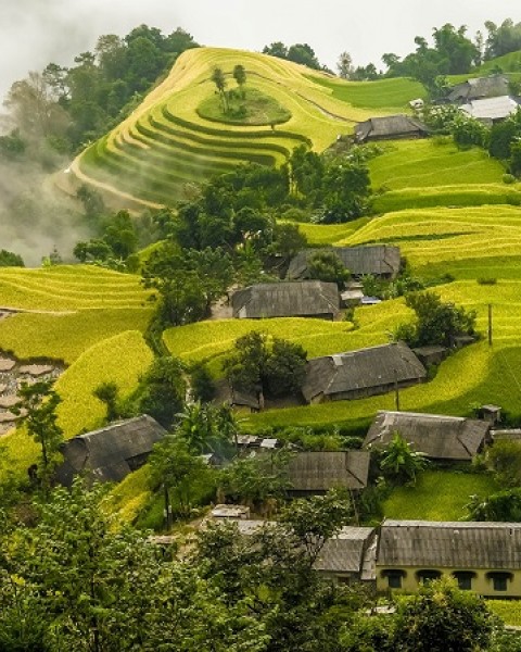 [MỚI] Tour Hà Giang 3 ngày 2 đêm giá rẻ đi thứ 6 từ Hà Nội