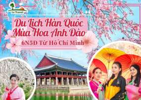 Du Lich Hàn Quốc 6 ngày 5 Đêm Từ Hồ CHí Minh Mùa Hoa Anh Đào (Bay Vietnam Airline)
