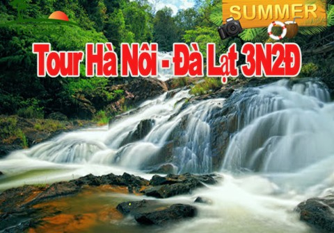 Du Lịch Đà Lạt 3 Ngày 2 Đêm 2024 Từ Hà Nội