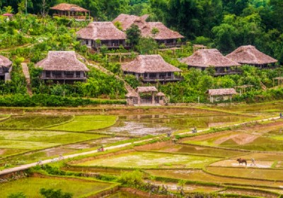 Tour Nghỉ Dưỡng Ecolodge Resort 2 Ngày 1 Đêm