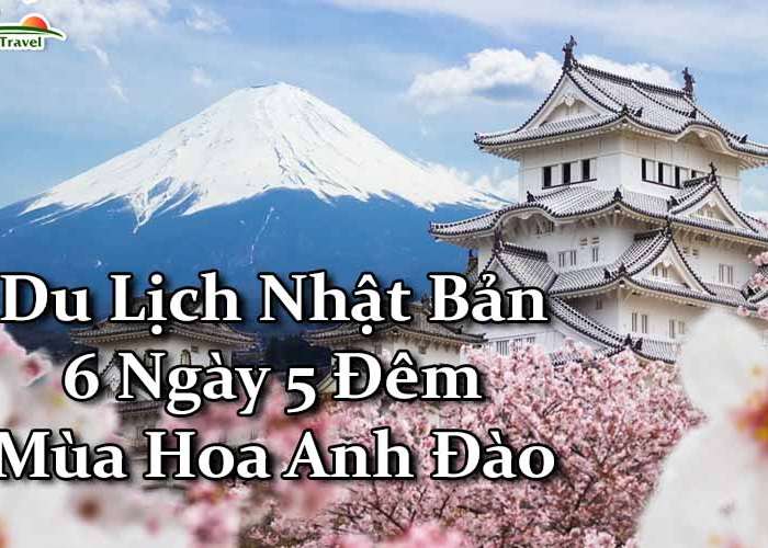 Du Lịch Nhật Bản 6 Ngày 5 Đêm Mùa Hoa Anh Đào (Bay Vietnamairlines, Shinkansen)