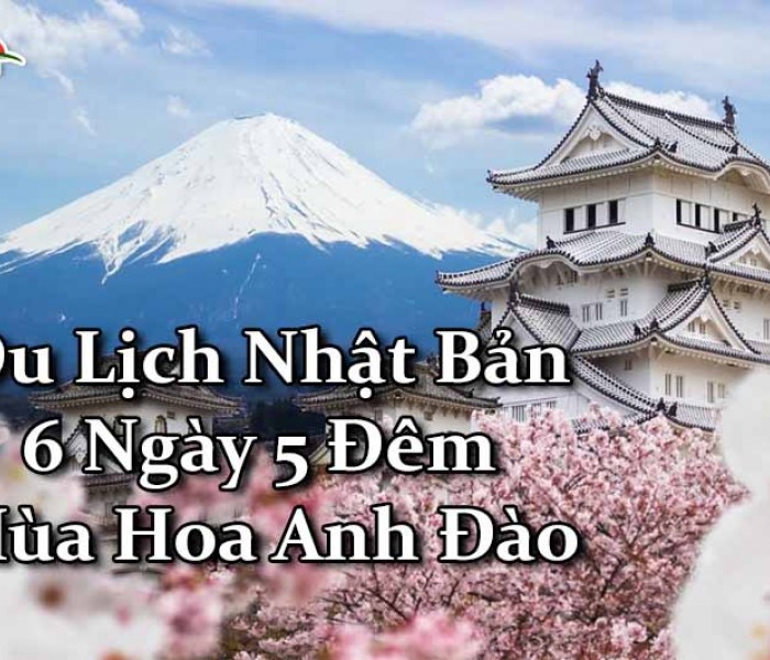 Du Lịch Nhật Bản 6 Ngày 5 Đêm Mùa Hoa Anh Đào (Bay Vietnamairlines, Shinkansen)