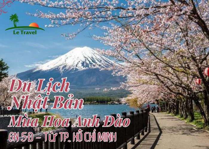 Tour Du Lịch Nhật Bản 6 Ngày 5 Đêm Mùa Hoa Anh Đào Từ Hồ Chí Minh