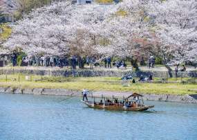 Tour Du Lịch Nhật Bản 6 Ngày 5 Đêm Mùa Hoa Anh Đào 2023 Từ Hồ Chí Minh