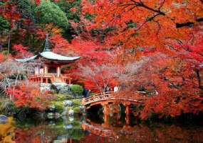 Du Lịch Nhật Bản Mùa Lá Đỏ 6 Ngày 5 Đêm - Tokyo - Hakone - Kyoto - Osaka (Bay Bay Vietjet)