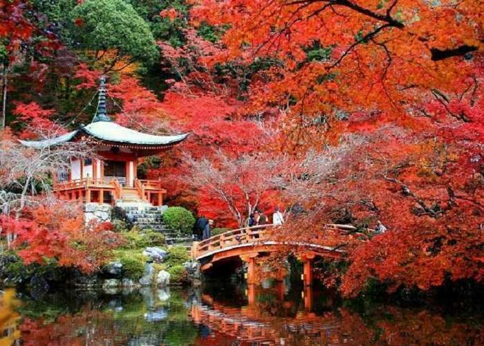 Du Lịch Nhật Bản Mùa Lá Đỏ 6 Ngày 5 Đêm - Tokyo - Hakone - Kyoto - Osaka (Bay Bay Vietjet)