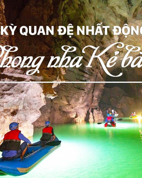 Tour Quảng Bình - Vũng Chùa Đảo Yến - Bãi Đá Nhảy - Động Phong Nha - Hang Tám Cô 3 Ngày 4 Đêm