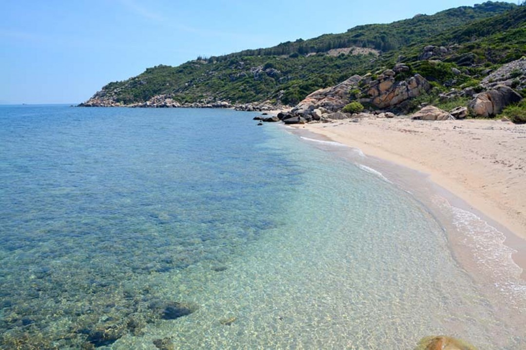 Tour Du Lịch Đảo Cù Lao Xanh 1 Ngày 