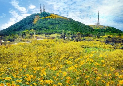 Tour Du Lịch Sapa Hàm Rồng – Cát Cát 2 Ngày 1 Đêm