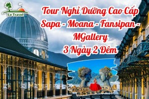 Tour Nghỉ Dưỡng Cao Cấp Sapa - Moana - Fansipan - MGallery 3 Ngày 2 Đêm