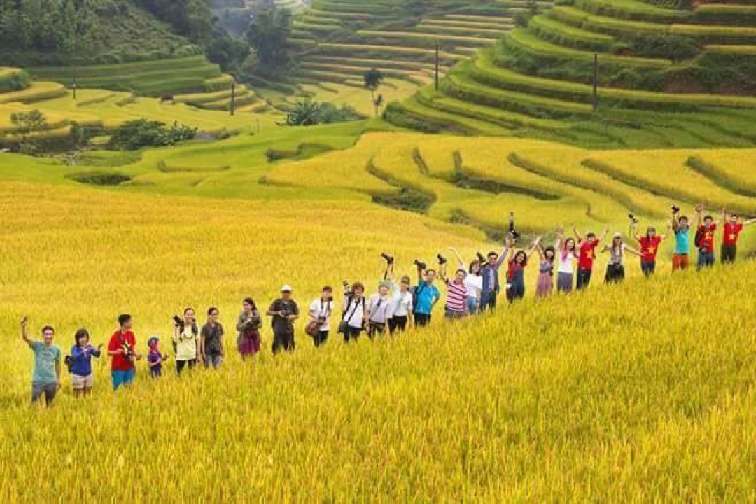 Tour Mù Cang Chải – Tú Lệ Suối Giàng 3 Ngày 2 Đêm Mùa Lúa Chín