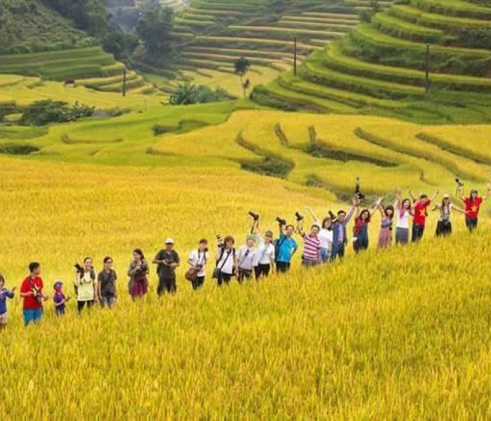 Tour Mù Cang Chải – Tú Lệ Suối Giàng 3 Ngày 2 Đêm Mùa Lúa Chín