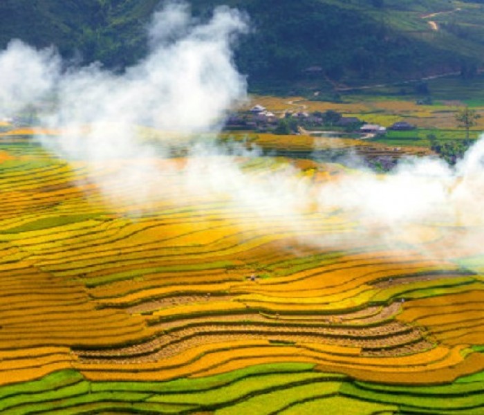 Tour Du Lịch Ngọc Chiến - Mù Cang Chải - Sapa 3 Ngày 2 Đêm Mùa Lúa Chín