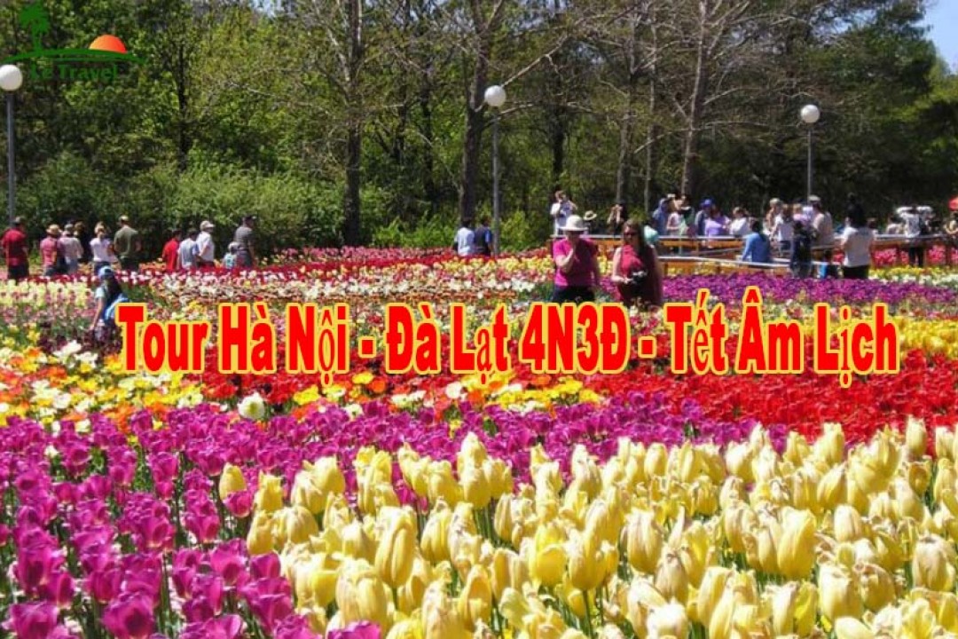 Du Lịch Đà Lạt 4 Ngày 3 Đêm Tết Âm Lịch 2024