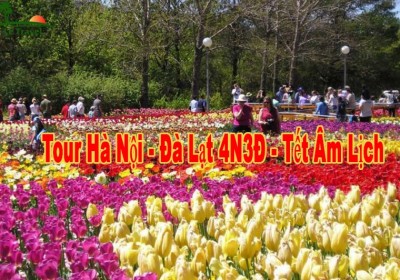 Du Lịch Đà Lạt 4 Ngày 3 Đêm Tết Âm Lịch 2024