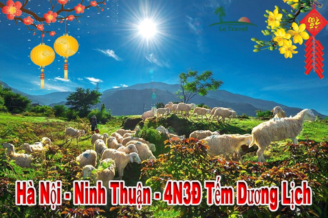 Du Lịch Ninh Thuận 4 Ngày 3 Đêm Tết Dương Lịch 2024