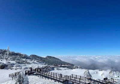 Tour Hà Khẩu - Thạch Lâm - Côn Minh 5 Ngày 4 Đêm