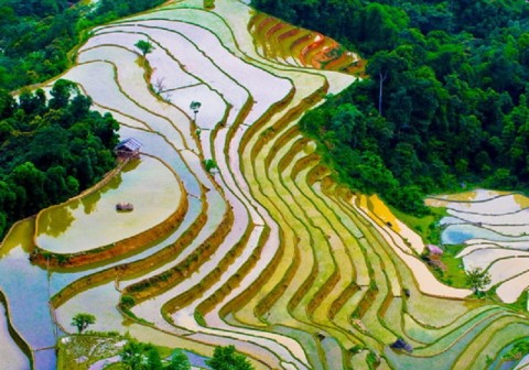 HÀ NỘI - HÀ GIANG - QUẢN BẠ - YÊN MINH (Ăn trưa, tối)
