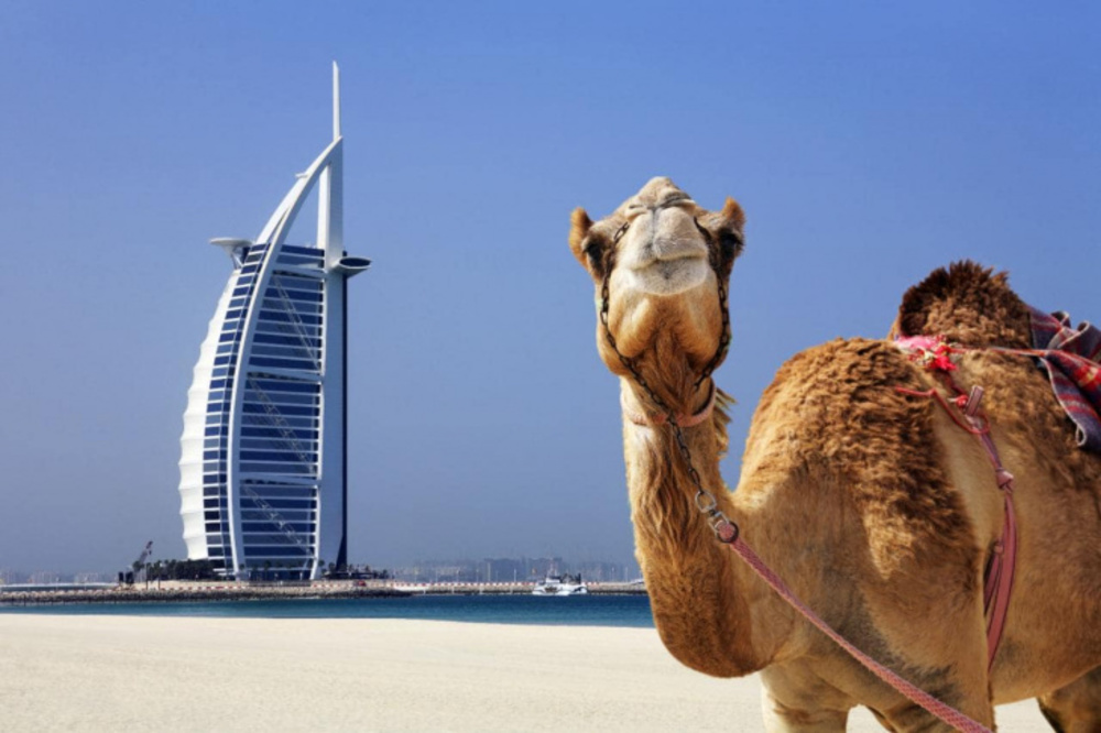 Tất tần tật về văn hóa và lịch sử Dubai