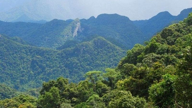Chiêm ngưỡng sự hùng vĩ của núi rừng Đỉnh U Bò