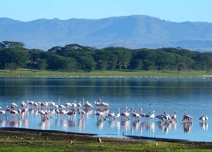 Tổng quan về hồ Naivasha Kenya